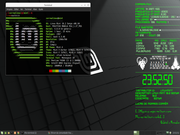 Xfce Mint + compiz + conky